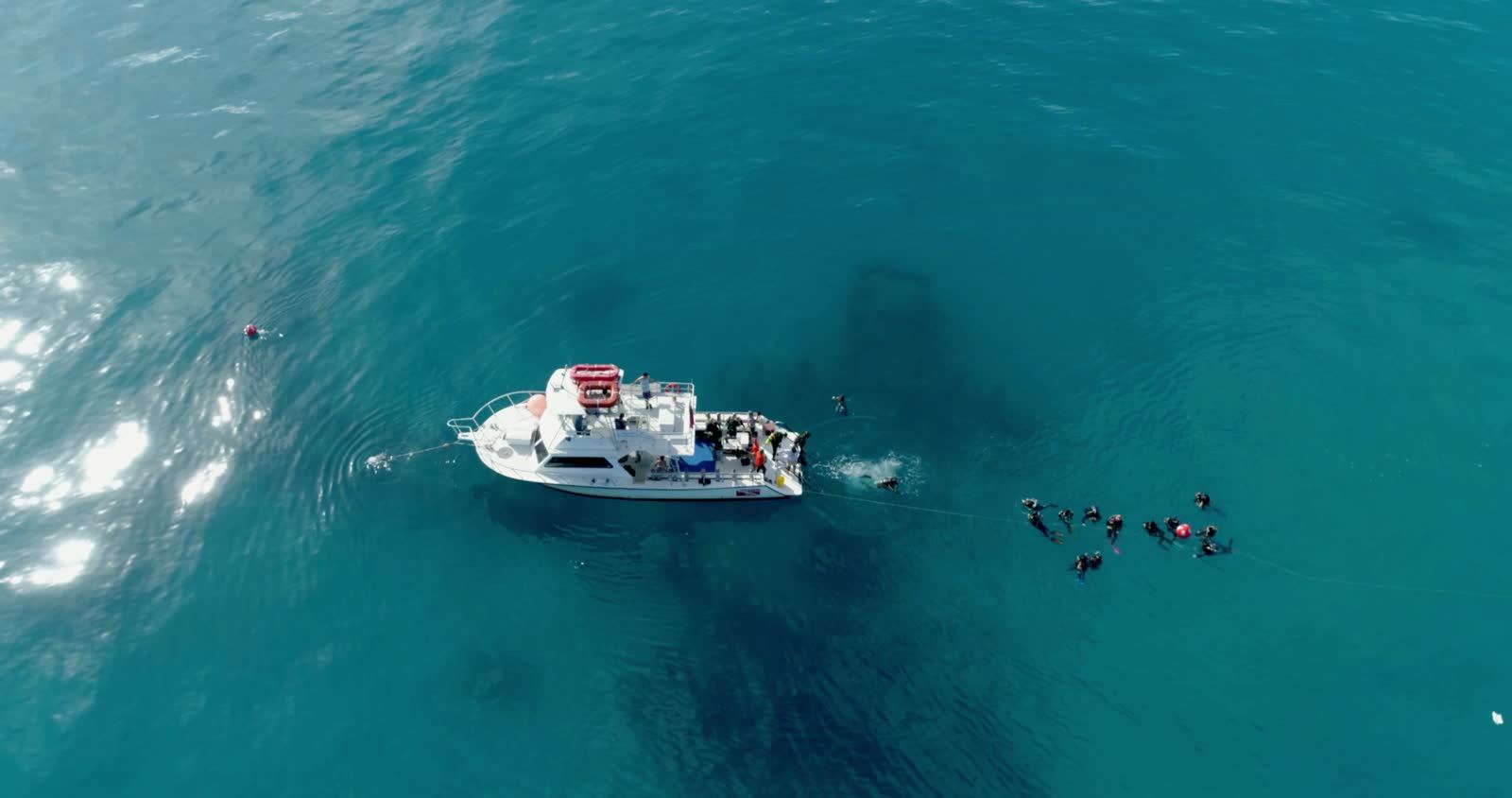 Dive Charters