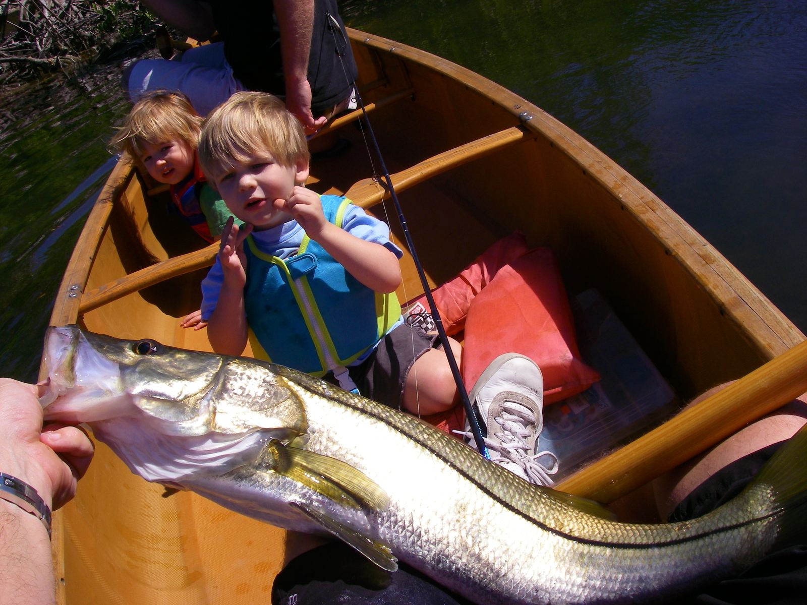 A paddle-quiet approach is why kayakers out-fish skiffs on Lemon Bay.