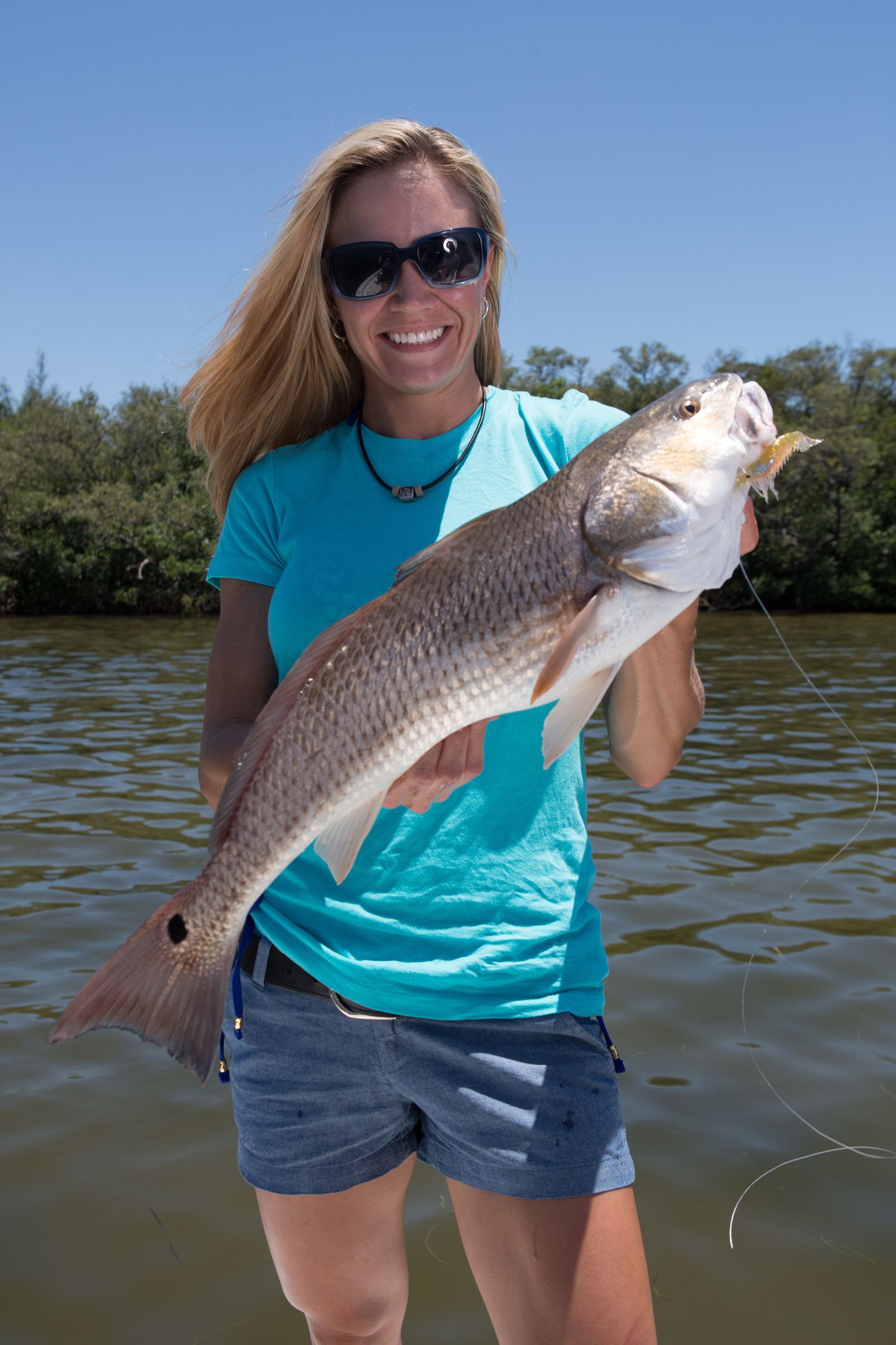 An angler holding a redfish boat-side against a mangrove shoreline