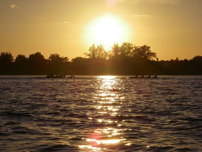 The sun drops behind the trees.