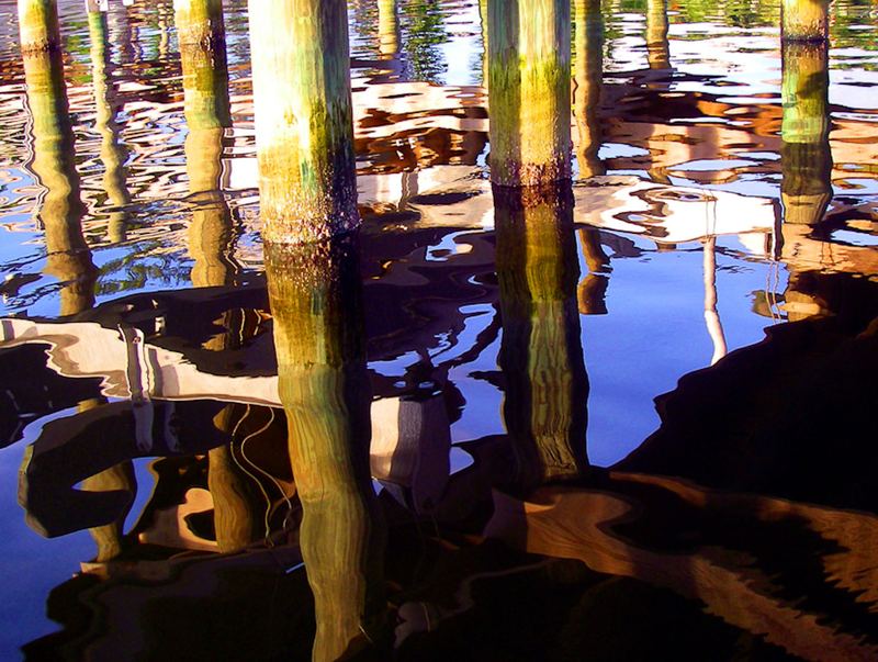Growth-covered dock pilings and their reflections in still water