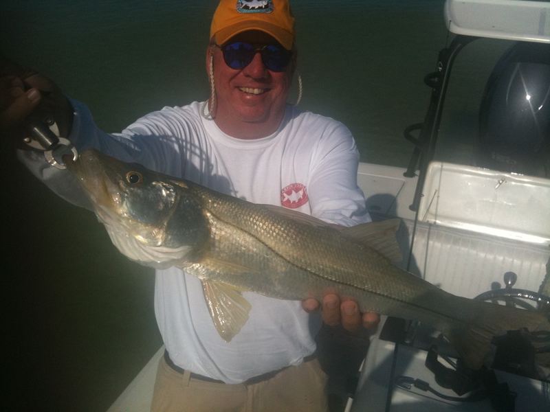 A snook held boat-side before release