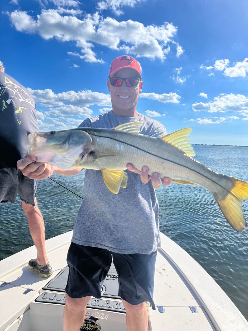 An angler holding a snook on the bow of a boat over Sarasota Bay