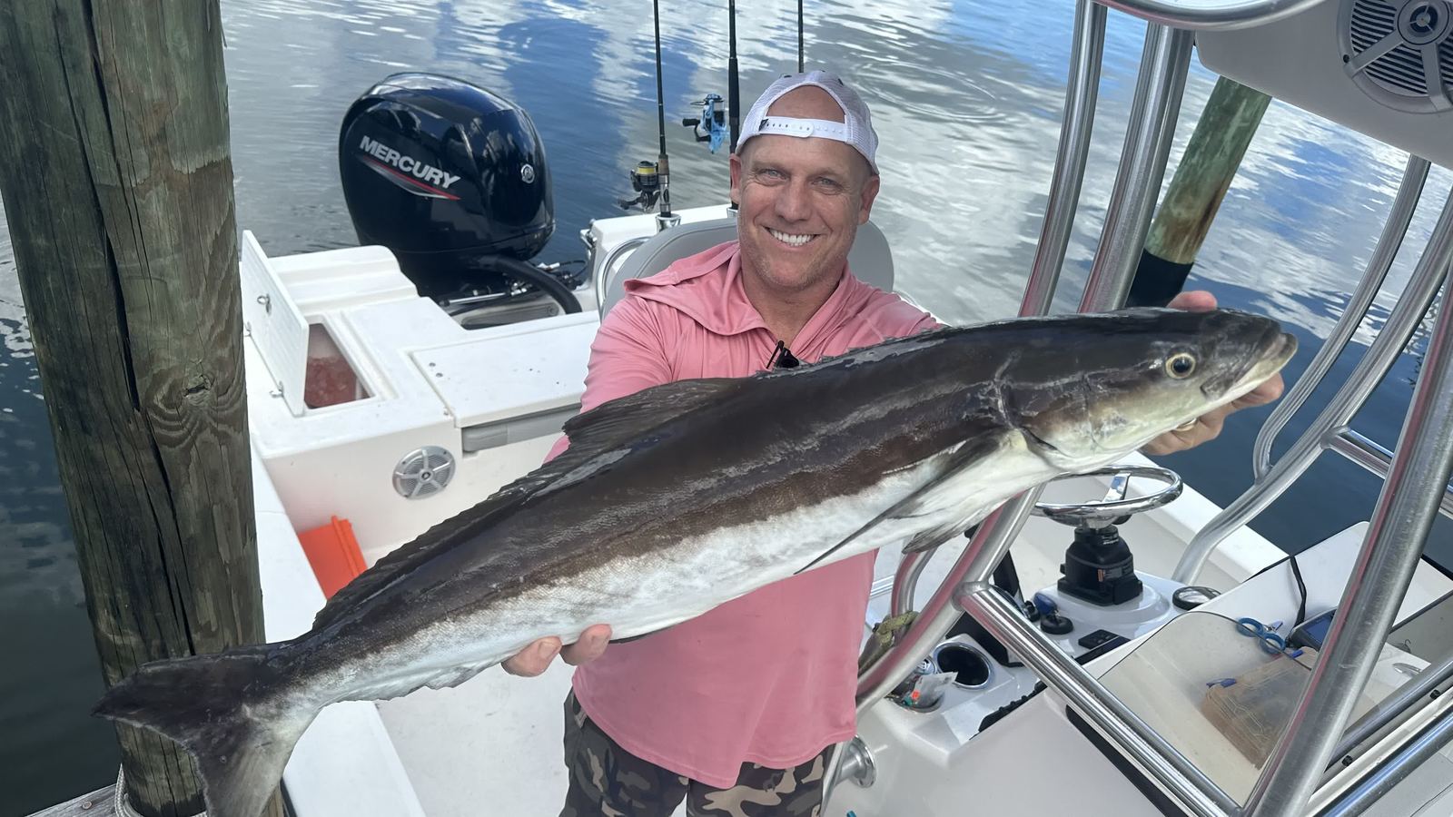 Cobia