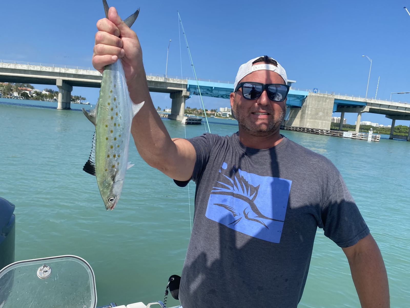 A Spanish mackerel held up at a Sarasota pass bridge, gold flank spots showing