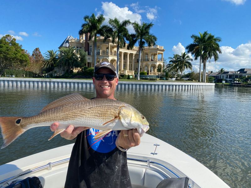 A red off the downtown bayfront.