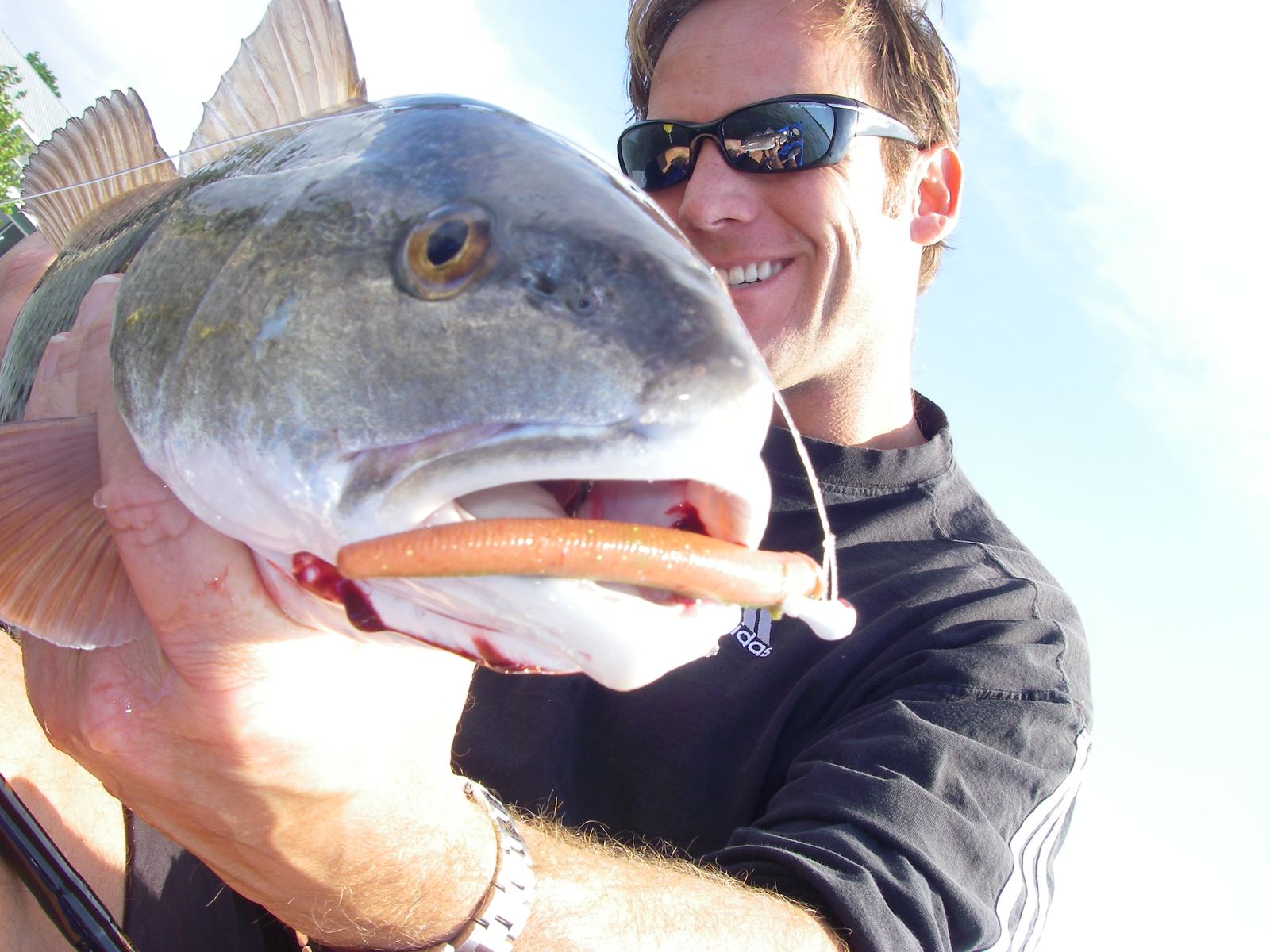 A redfish boat-side with a soft plastic in the corner of its mouth