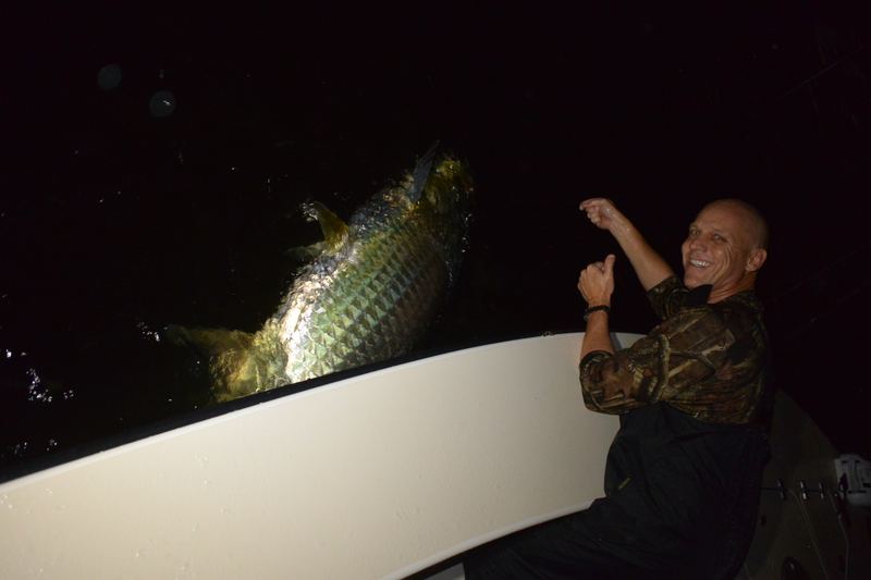Tarpon boatside at night on a July Sarasota fishing charter
