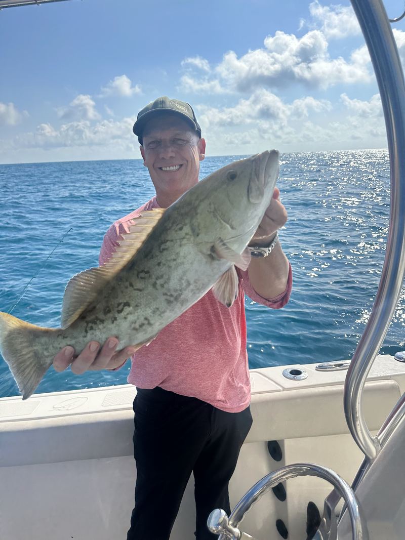An angler holding a gag grouper across the gunwale, grey-brown with dark wormlike markings and a squared tail