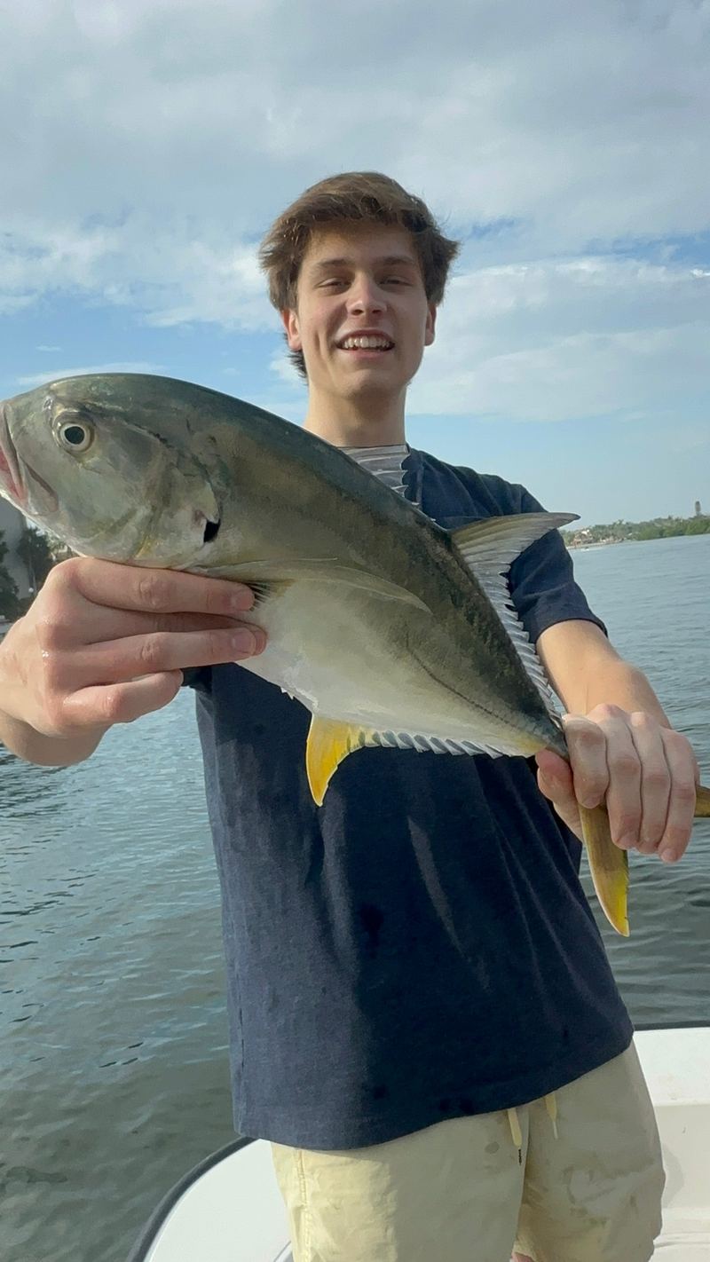 Jack crevalle caught along a Sarasota mangrove shoreline in winter