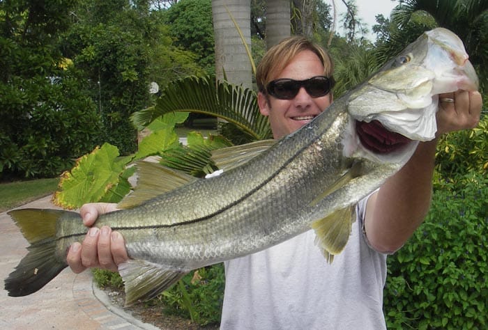 An angler holding a slot snook boatside on a calm bay