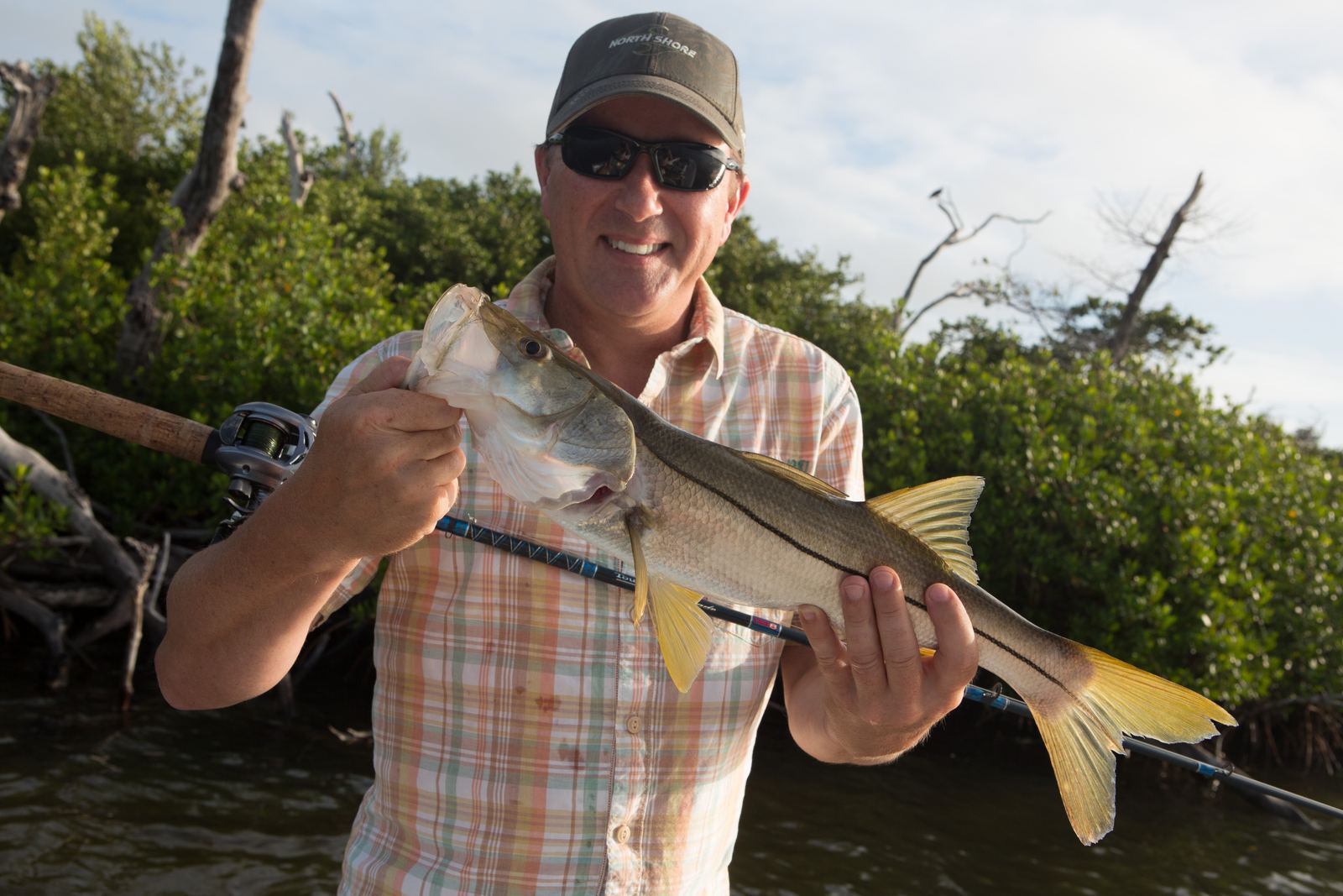 Angler holding a snook along the mangroves