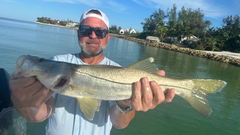 A snook off the pass, back in the water seconds later.
