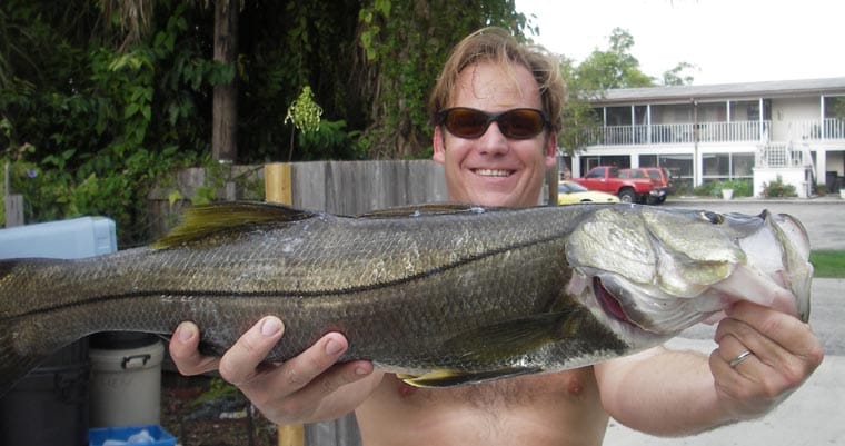 A snook caught near a Sarasota pass