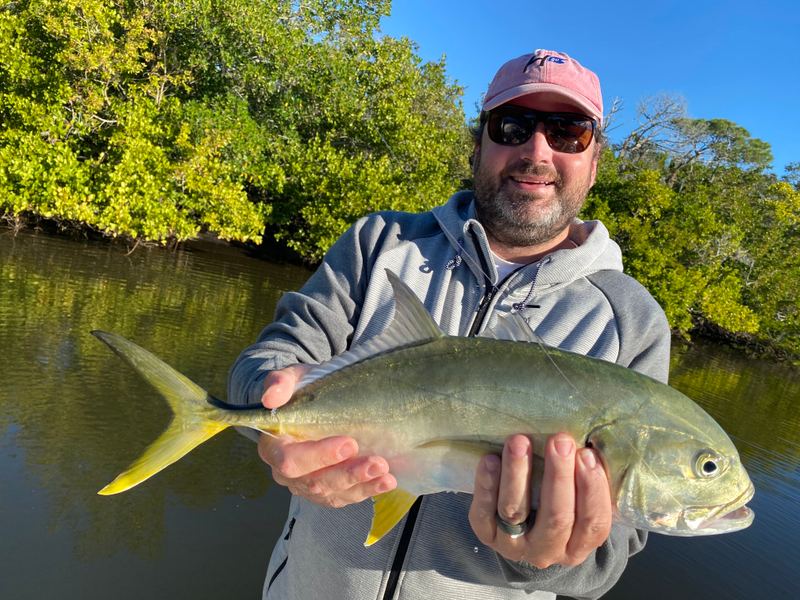 A jack crevalle held across two hands over a narrow creek, a sunlit mangrove wall behind