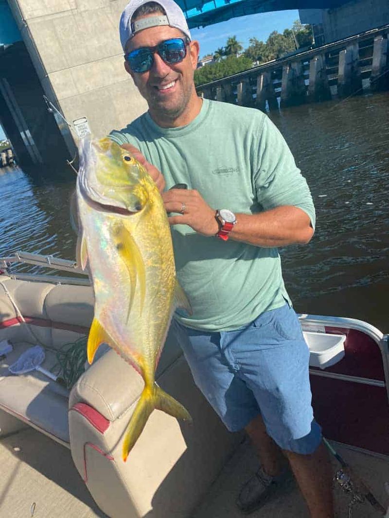 Cobia