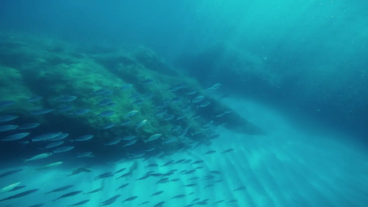 Five Army tanks, a landing craft and boxcars sit in 65 feet of water.