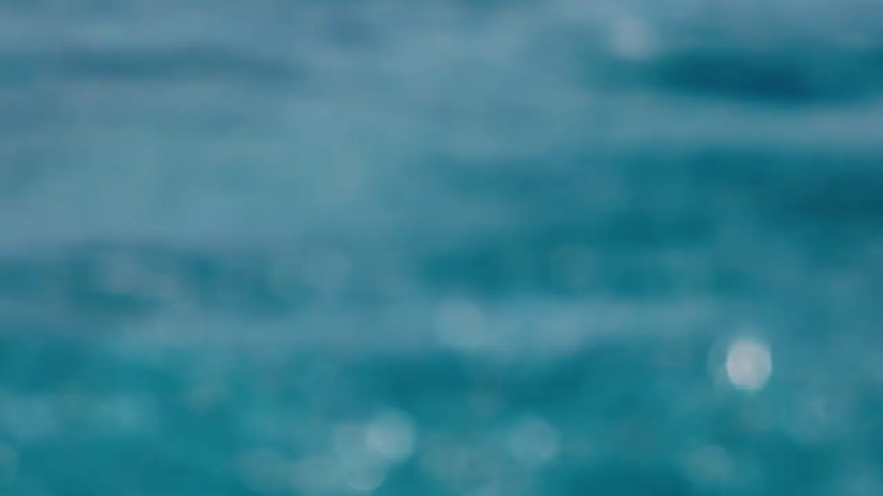 Whitebait showers on the surface when something pushes it up — that is the marker.