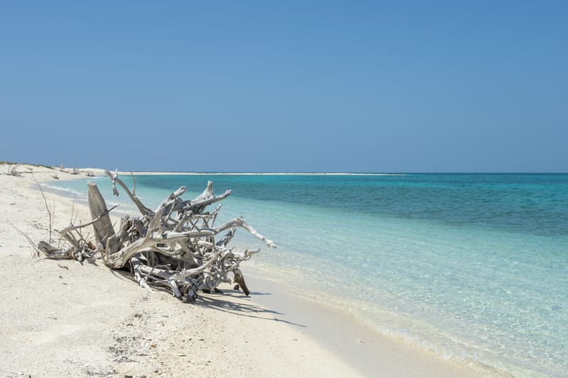 White sand, a wave-washed edge and a shallow bar running offshore — the water a surf pompano lives in