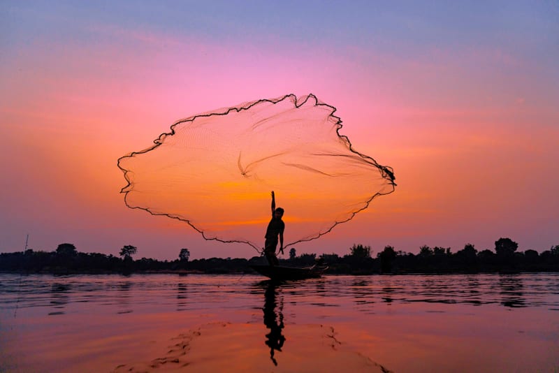 A cast net opened to a full flat circle above the water, silhouetted against a magenta sunrise