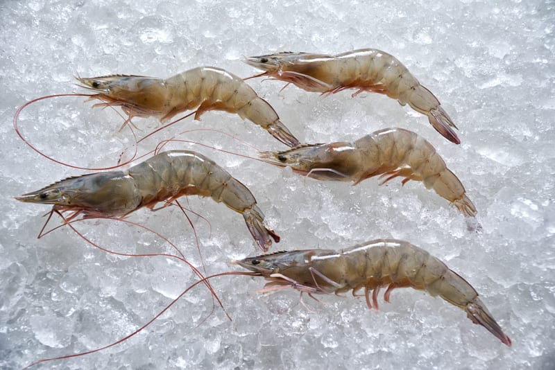 Fresh raw shrimp on a bed of crushed ice at a market counter