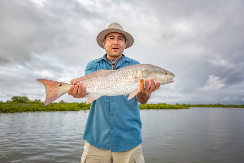 An angler standing in shallow water cradling a red drum with both hands, mangroves behind him