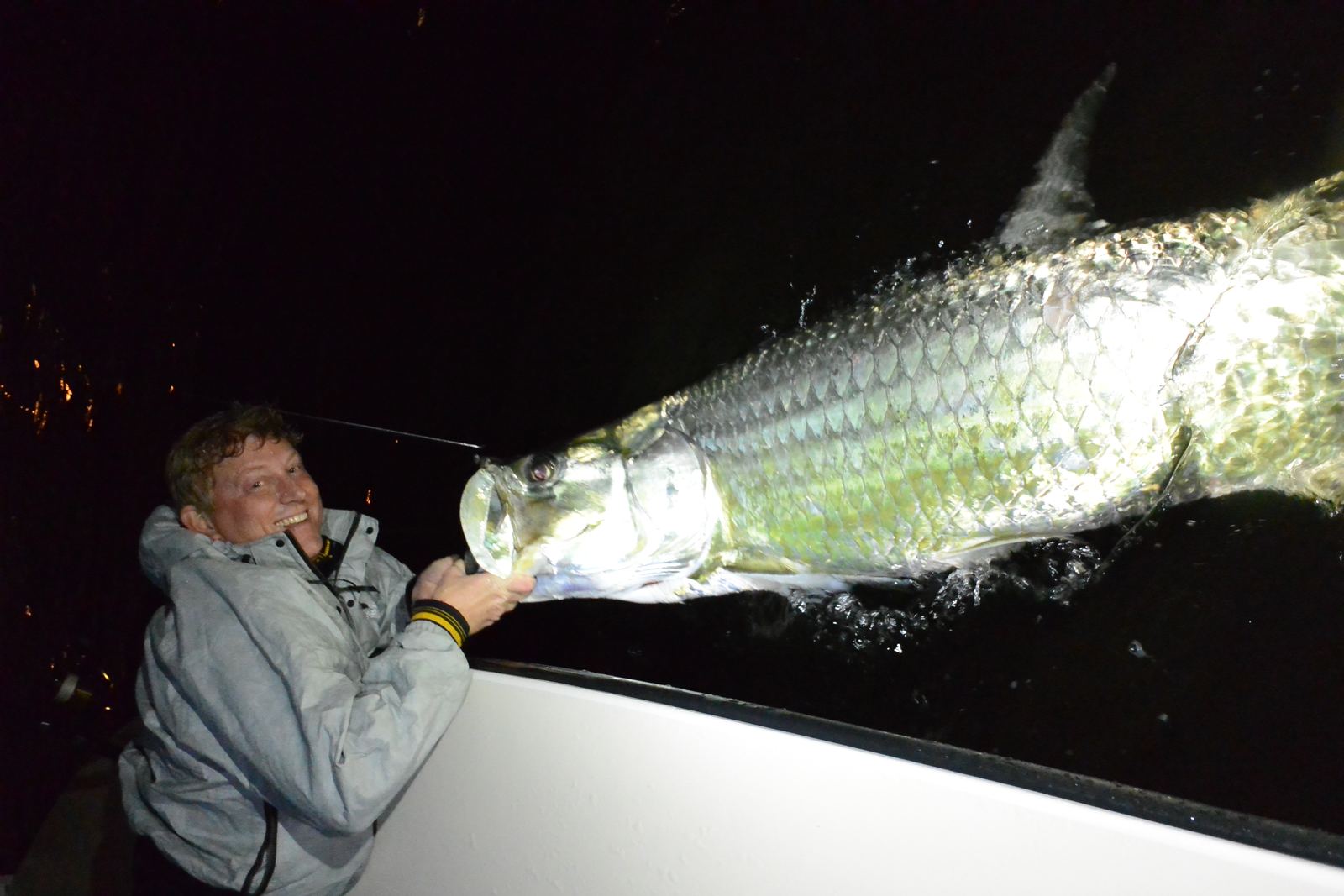Tarpon under boat lights at night