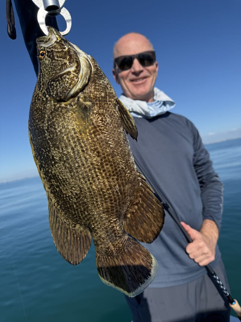 An angler holding a heavy tripletail up by the jaw, rod in the other hand, flat blue water behind