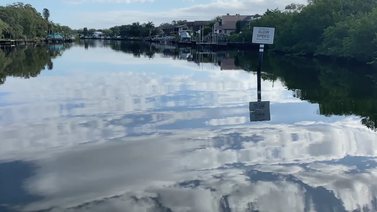 From a bridge or a dock, cast up-current and swing the cork down the shadow line.