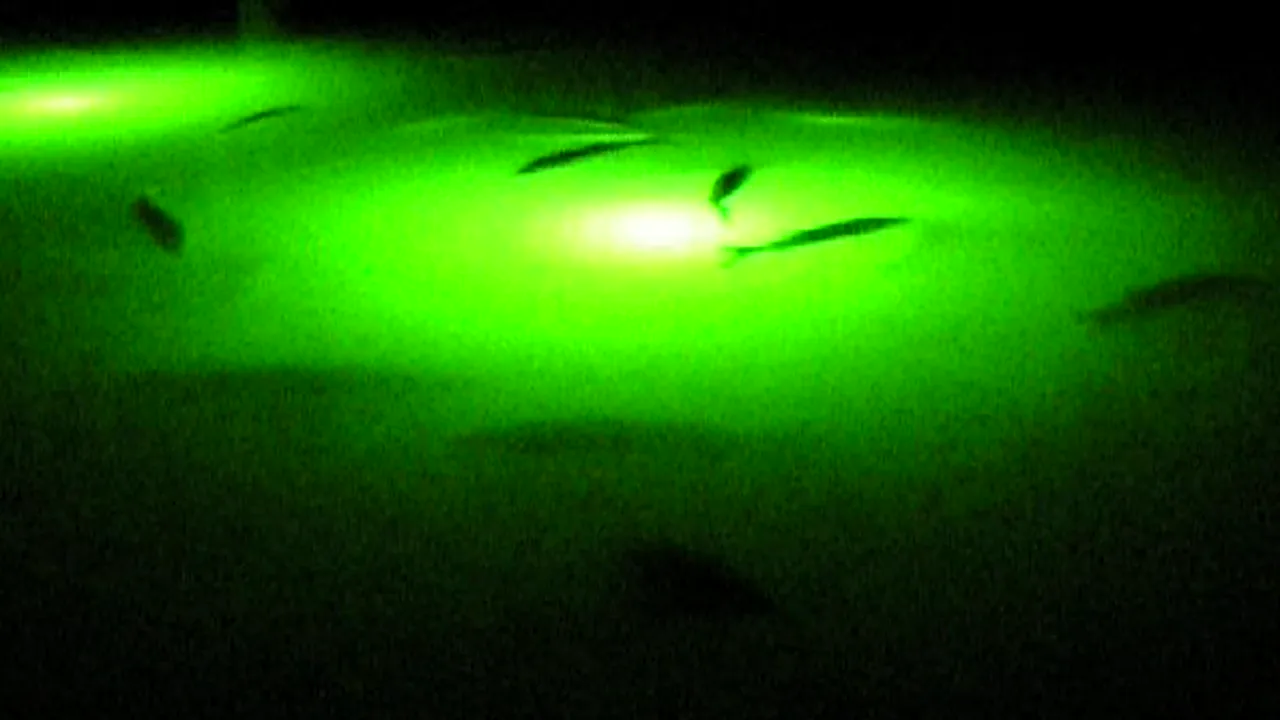 Set the green light deep — only a faint glow should reach the surface.