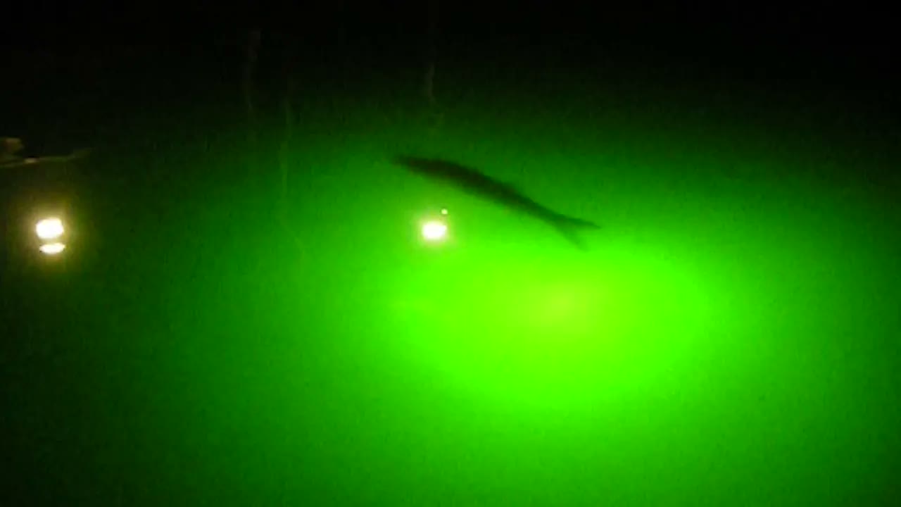 Dock Light Night Fishing