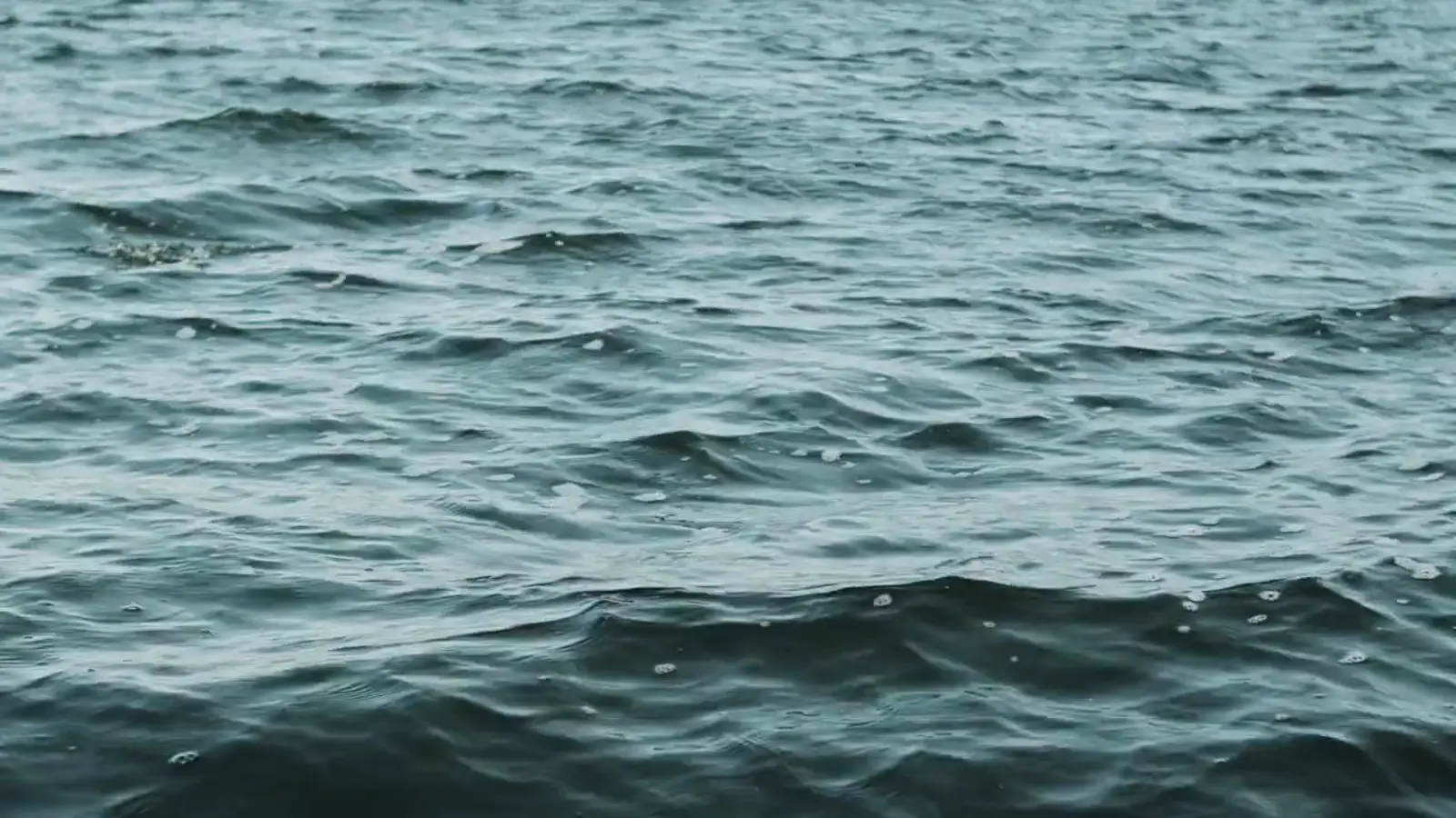 Offshore jigging is a 60 to 140 foot game — you never jig it in three feet of water.