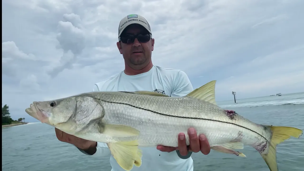 Arguably the year's best keeper-slot snook window, open through November 30.