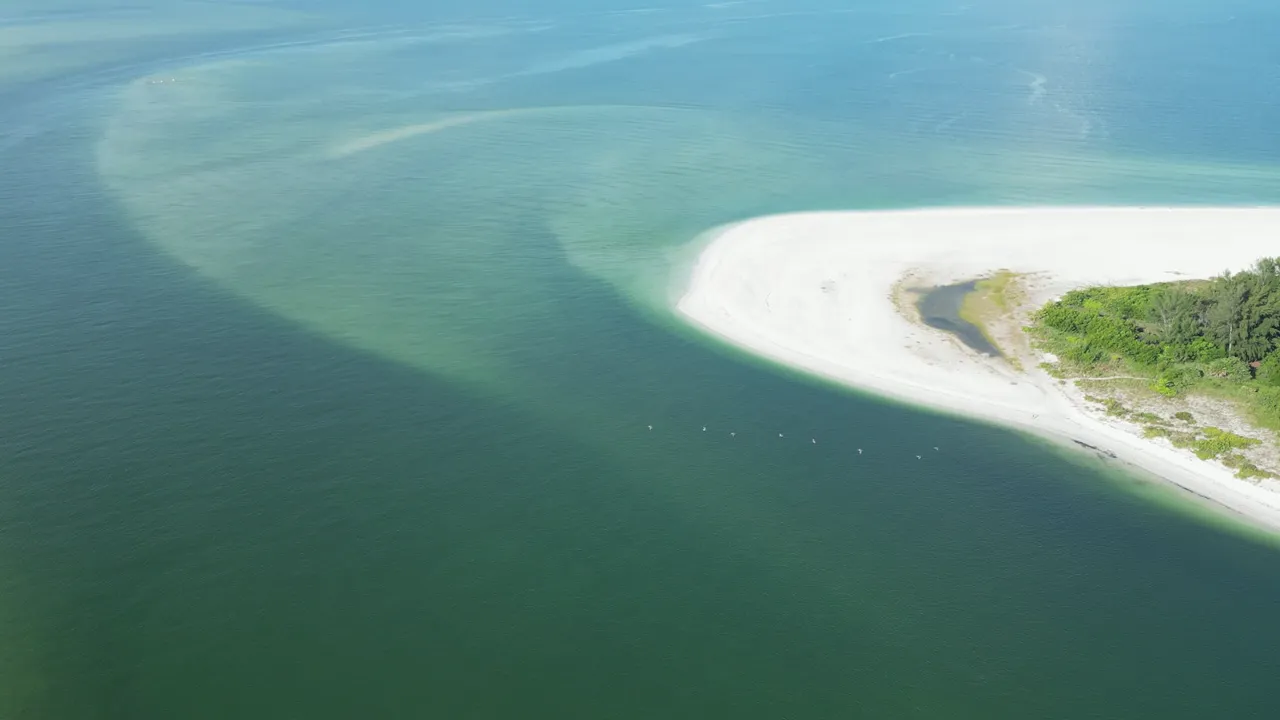Fish Rules uses your GPS to show the rules for the water you're on.