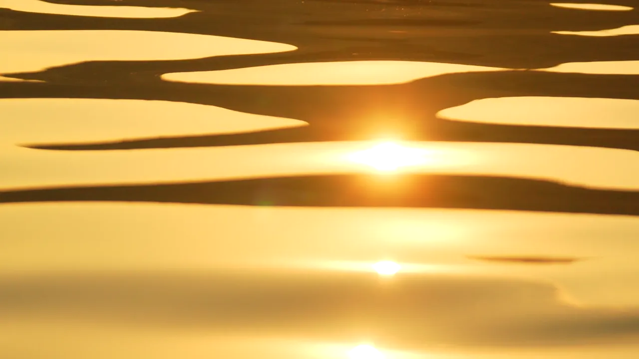Snook harvest opens March 1 as the spring runs arrive.