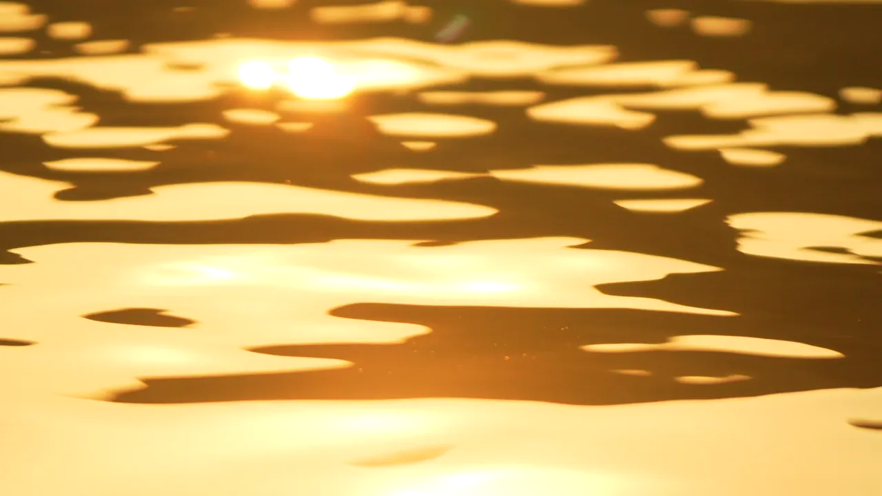 Don't fish the bloom. Move twenty minutes and fish clean water.