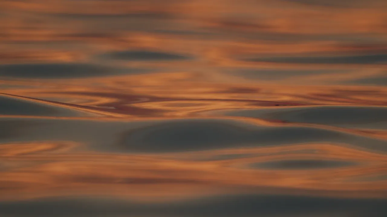 The topwater bite is the first and last hour of light, not midday.