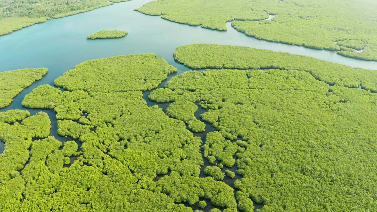 The boat reaches rookery islands and mangrove creeks no trail touches.