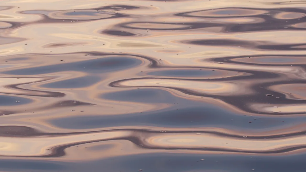 Small baits for the ambush fish, oily baits for the pelagics.
