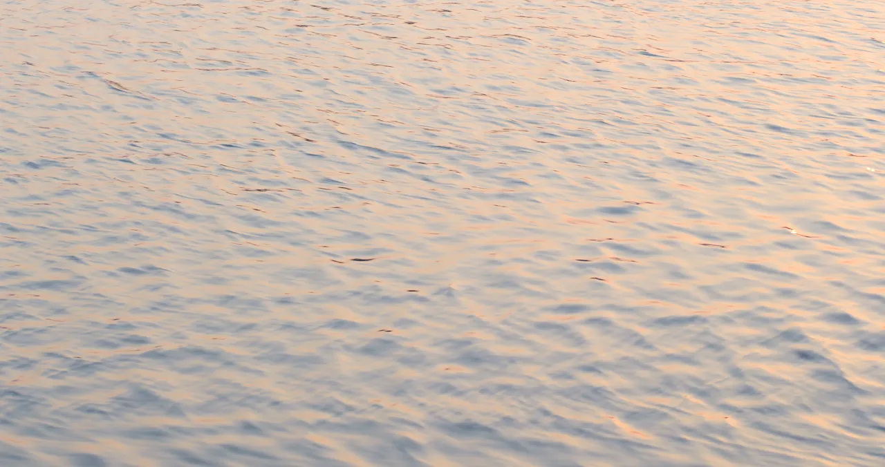 During a run, kings pack the nearshore reefs a mile to seven off the beach.