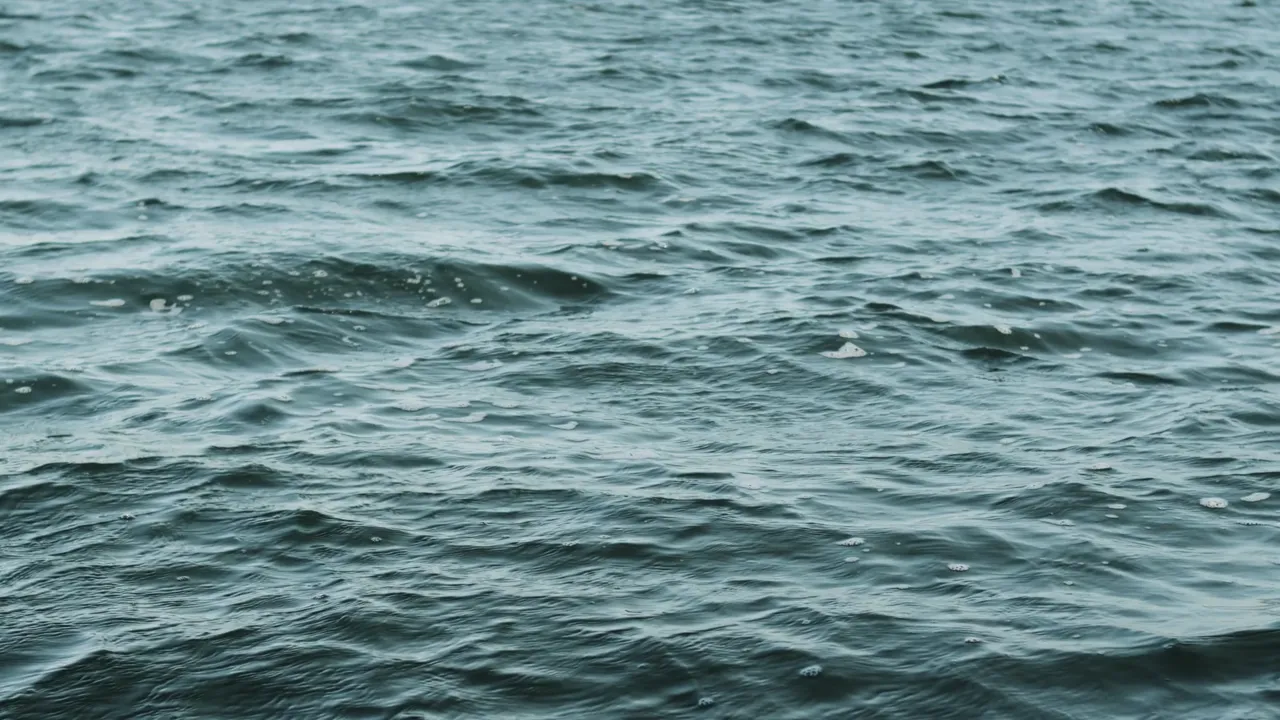 Hard bottom in 20 to 40 feet of water is where the winter plug bite happens.