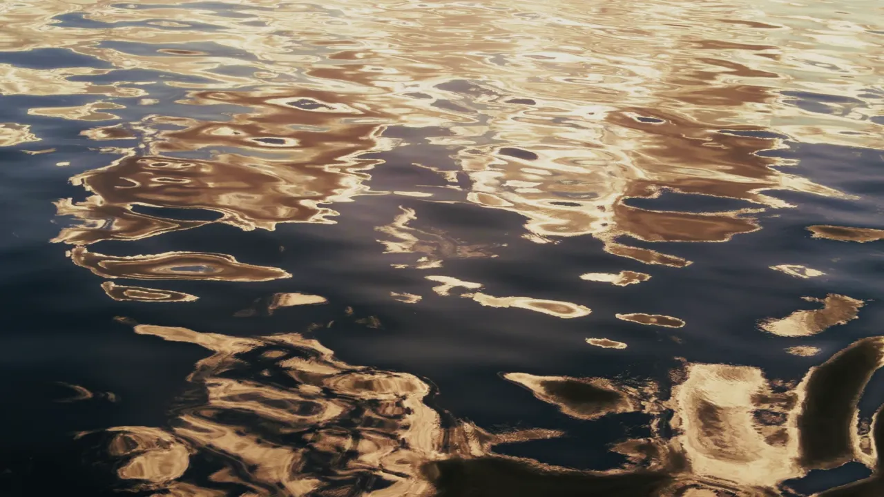 A buried flounder ambushes off the sand — drag a jig slow and low past it.