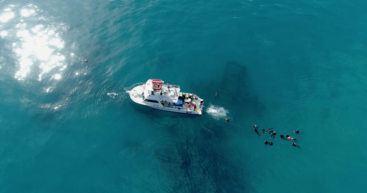 Two or three tanks a trip, on reef the captain already has numbers for.