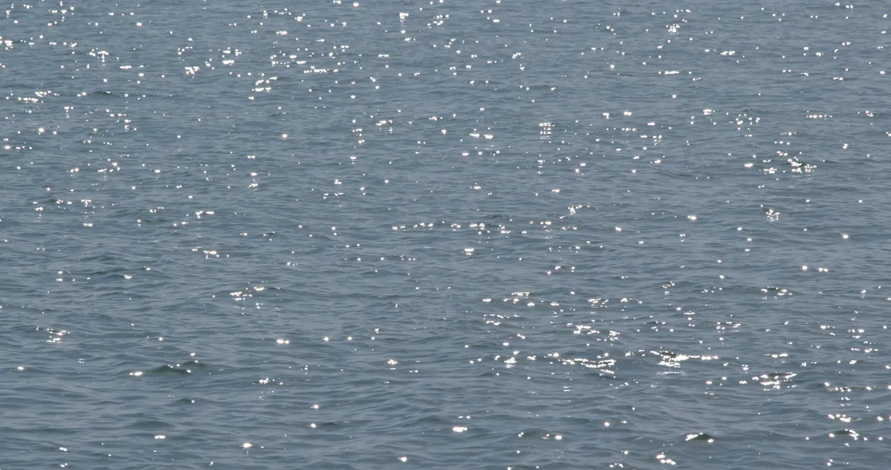 Keepers start about fifteen miles off the beach, in seventy feet and better.