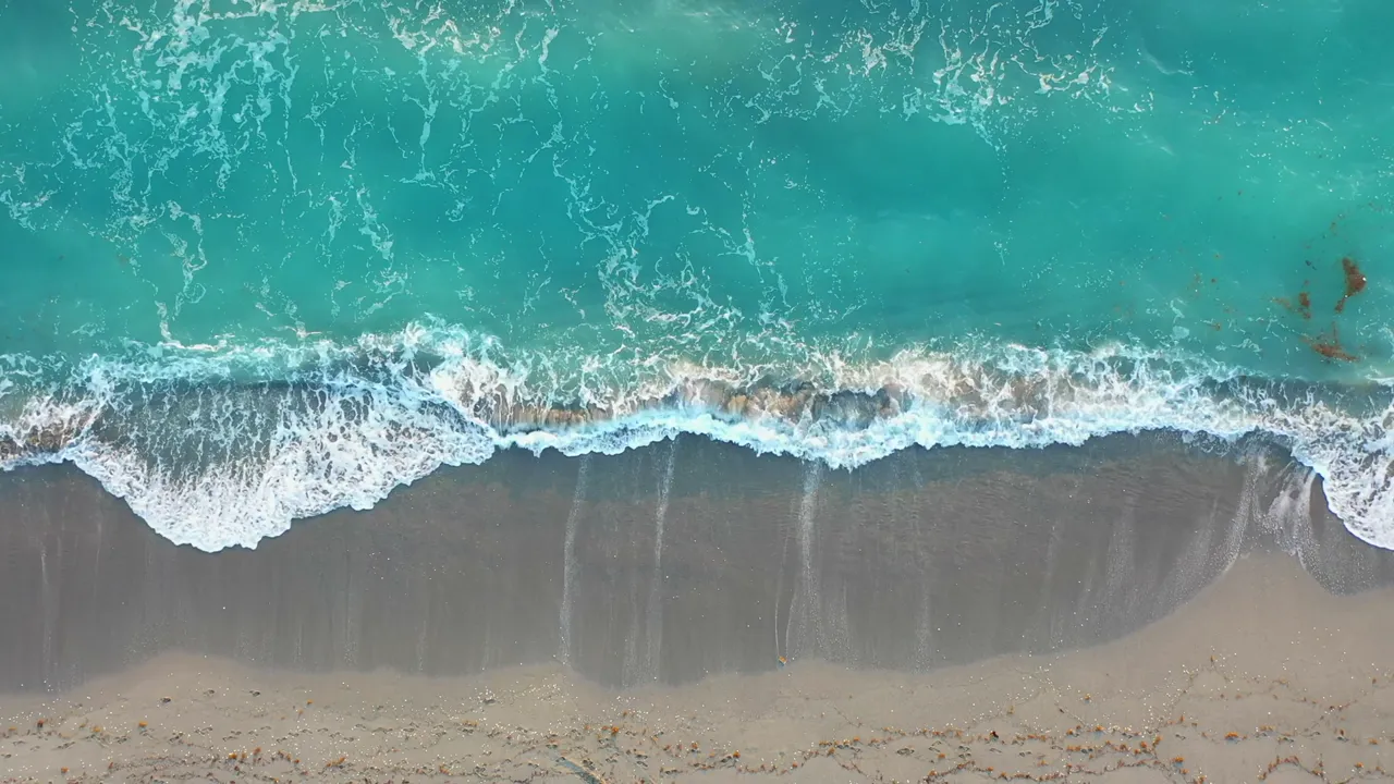 Whiting feed in the wash where the waves break on the sand.