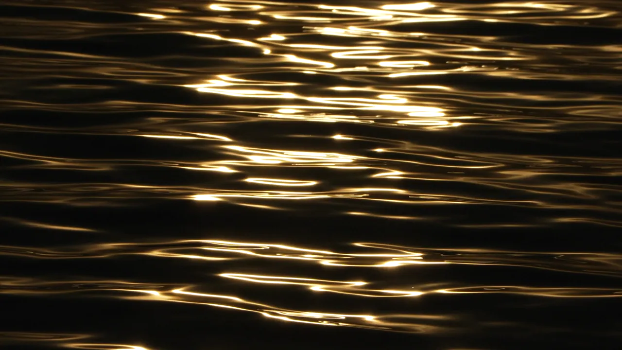 Every tarpon over 40 inches must stay in the water — it's the law.