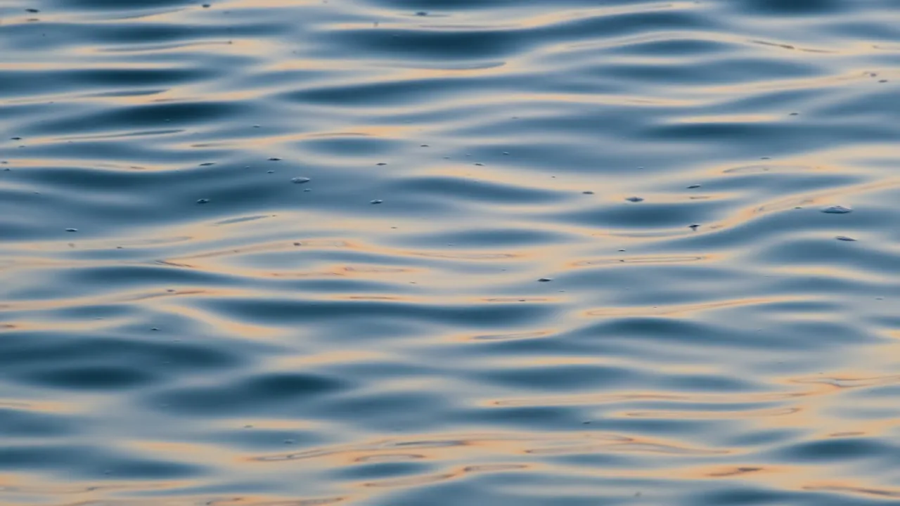 Moving water beats slack, and first light beats the middle of the day.