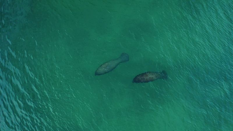 Moving tide over a Sarasota flat