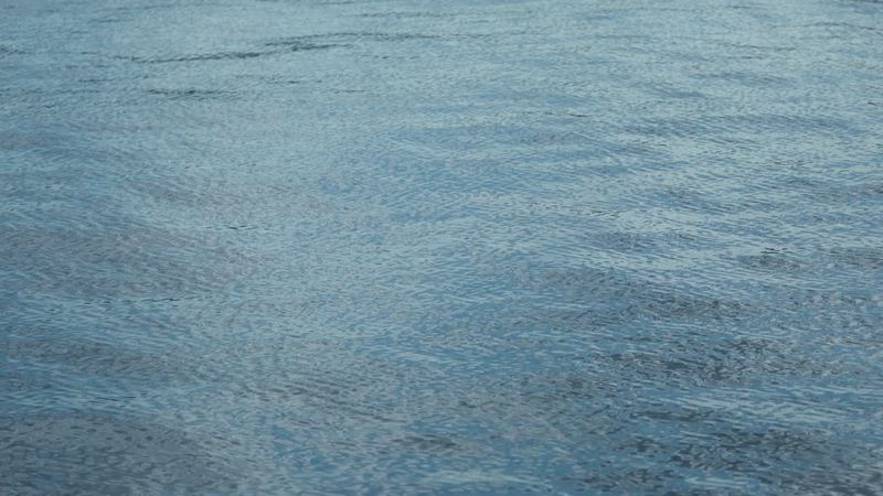Deep green Gulf water beneath the Skyway piers where kingfish and tarpon patrol